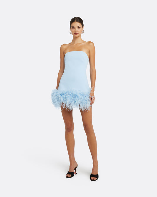 Rowan Pale Blue Feather-Trimmed Short Dress